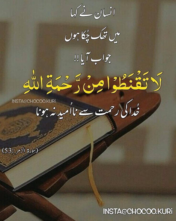 AqsaLeelaJamali's tweet photo. https://t.co/qcIZBRfr1L