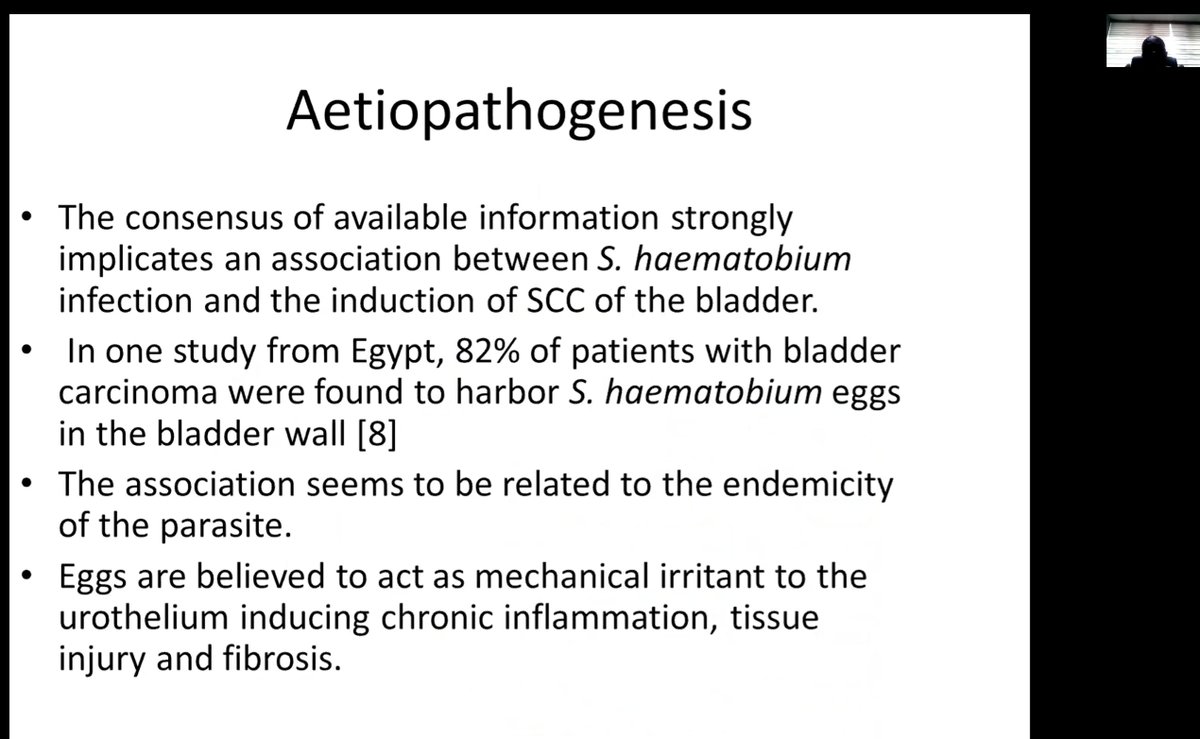 GSRGTPath's tweet photo. More photos from the webinar
#GUPATH #PathTwitter https://t.co/cDT2Ro0JTX