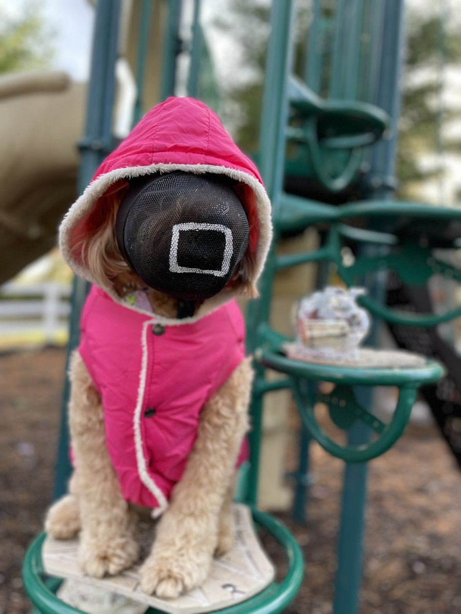 meritthemini tweet media