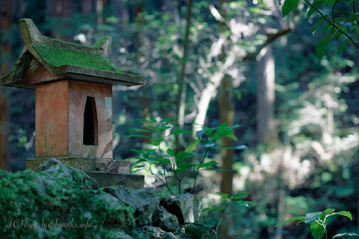 office_hw's tweet photo. 「社祠（しゃし）」

山歩きをすると見かけます

#ファインダー超しの私の世界 
#キリトリ世界 https://t.co/tAwJwH2wWb