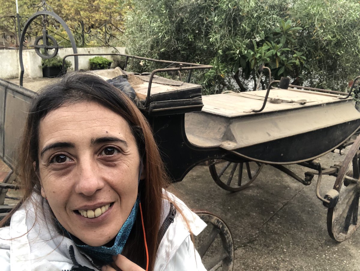 lafilladelxolo's tweet photo. A vui ha estat un dia d'aquells estranys... Avui ha entrat a #CalXolo un carro de morts d'aranya, el meu pare tota la seva vida en va voler un, però la vida és així de mal parida i no veurà la seva il·lusió complida. https://t.co/z9MdE0xLD7