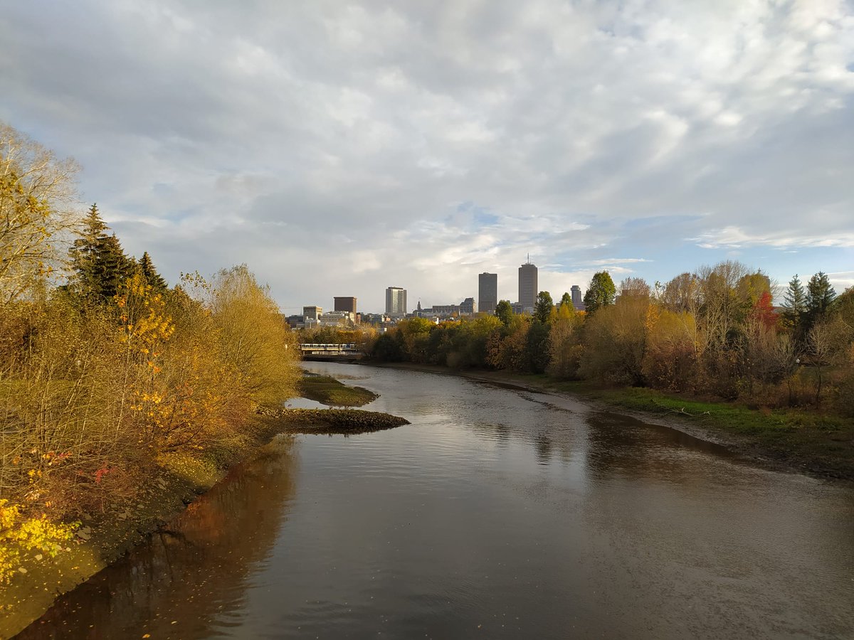 Maxence Compagnat tweet media