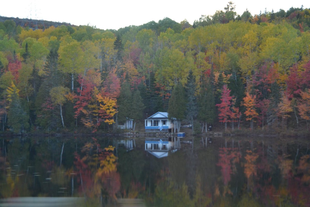 Maxence Compagnat tweet media