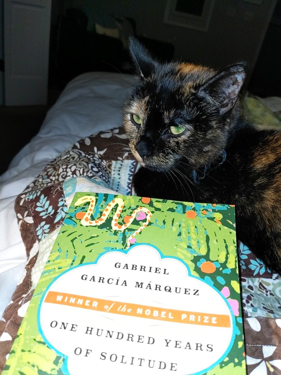 Maggie Marton tweet media