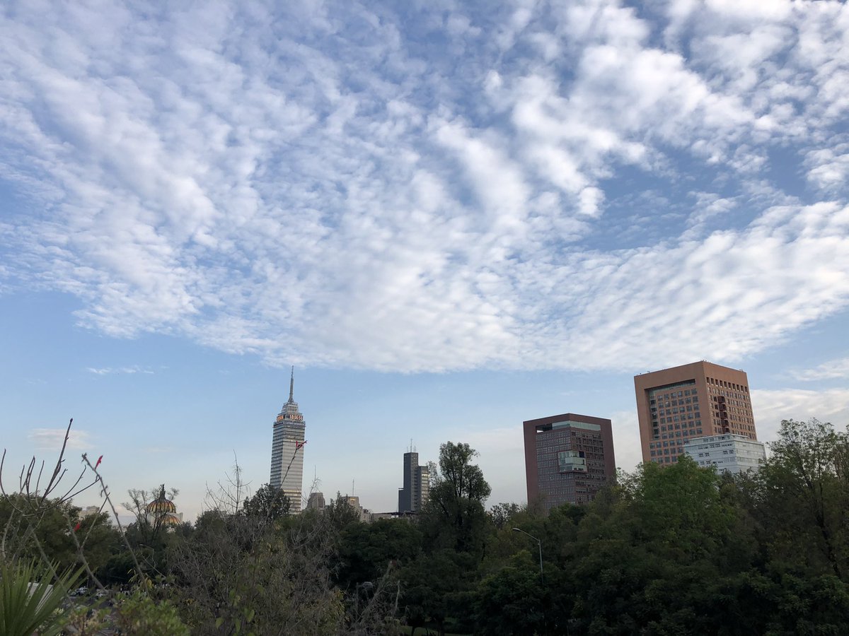 Fuimos al festival de pan de muerto del <a href="/MuseoKaluz/">Museo Kaluz</a> y <a href="/comilonamx/">Comilona</a> y no nos arrepentimos de nada 🤤

¡Mañana sigue!