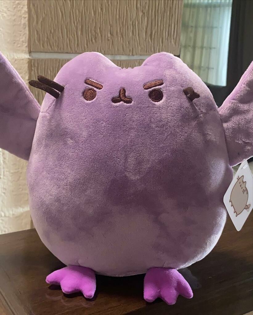 ¡Al fin llegó! 💜 Sigue la secuencia de su llegada… 😝  #batpusheen #pusheen #dracolmillo #monterrey
