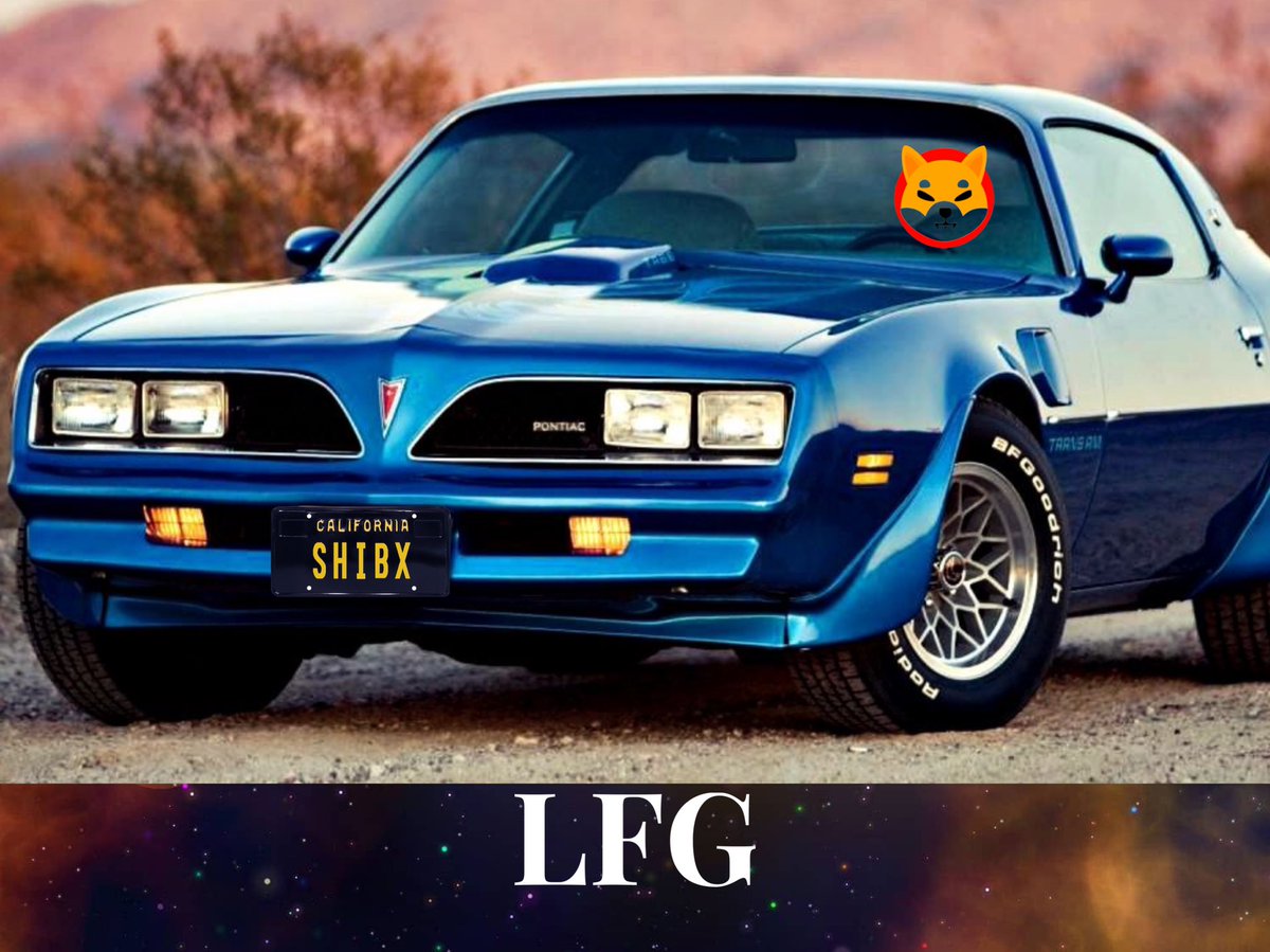 #SHIB.X LFG 😎💎✊🏼🔥🚀