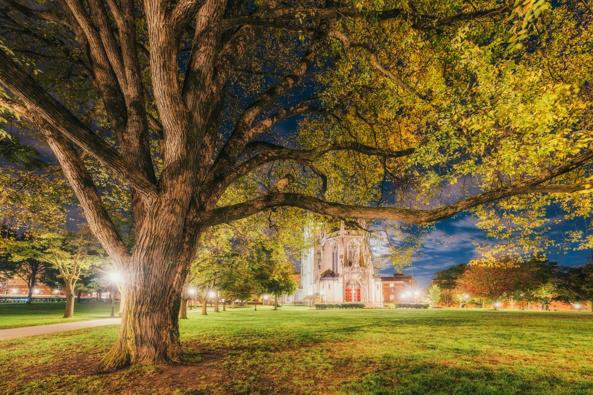 DaveDiCello's tweet photo. Figured a bit of a spooky image was appropriate for Halloween weekend. Captured this view of the moon behind Heinz Chapel last weekend, with a tree framing the scene nicely. The shadows on the ground and tree itself added the perfect creepy vibe. https://t.co/Ln3AEIP5Y8