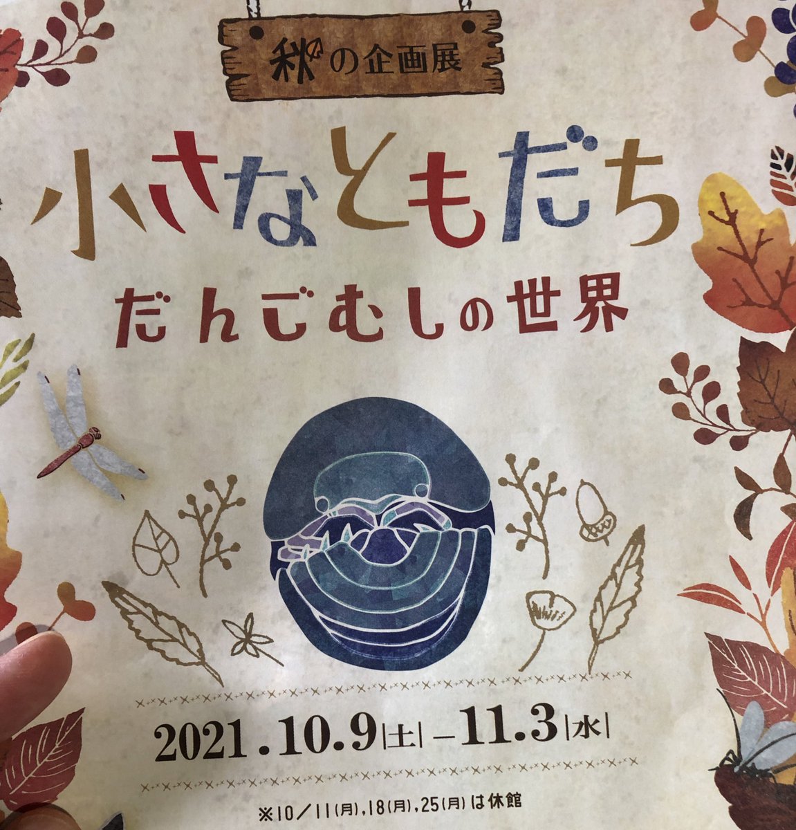 おはようございます。ハロウィンですね。息子はだんごむしの世界展に出かけて行きました。仕事できるぞ〜☺️ 