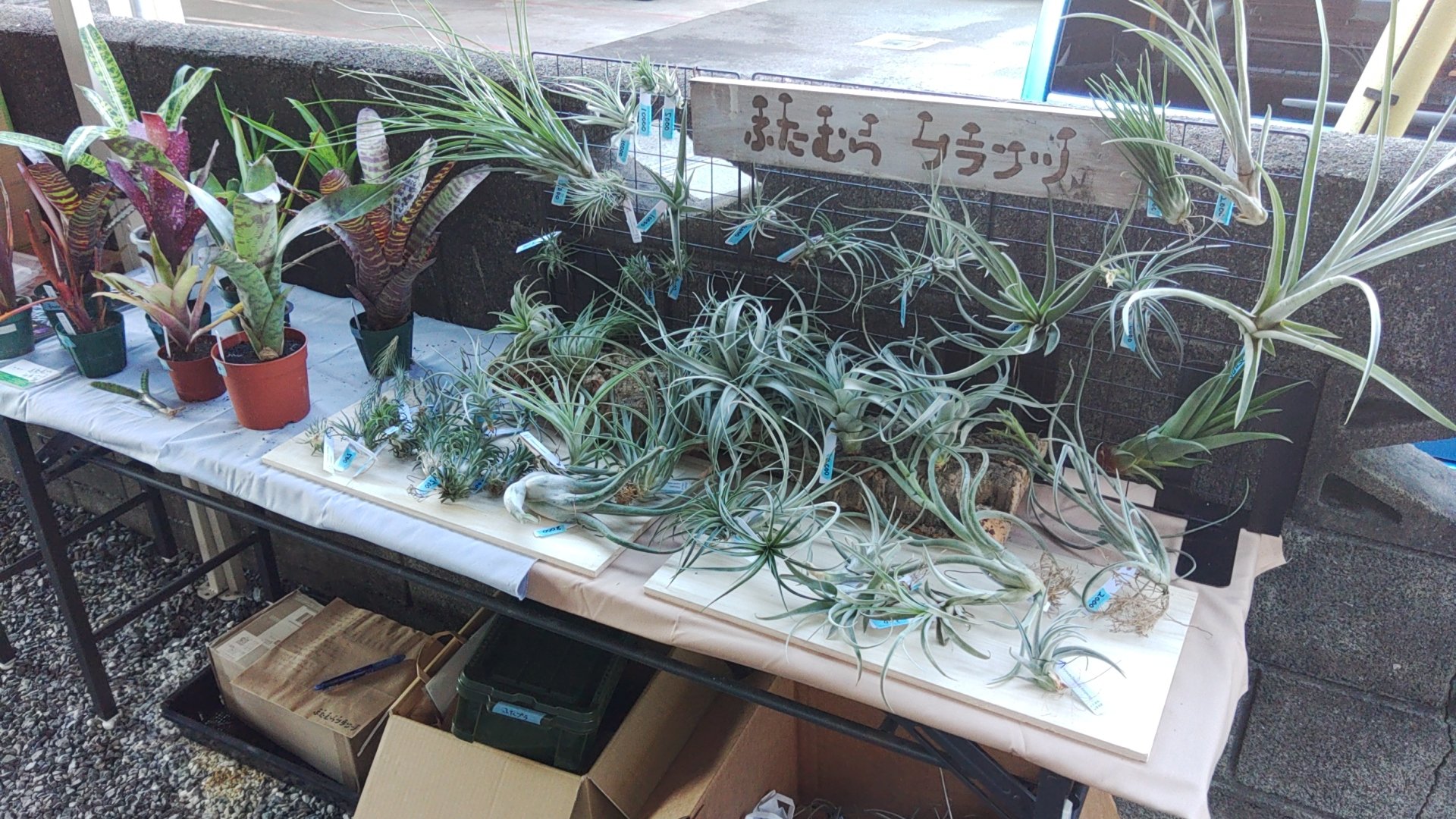 山水苑 Apg 340 Twitter