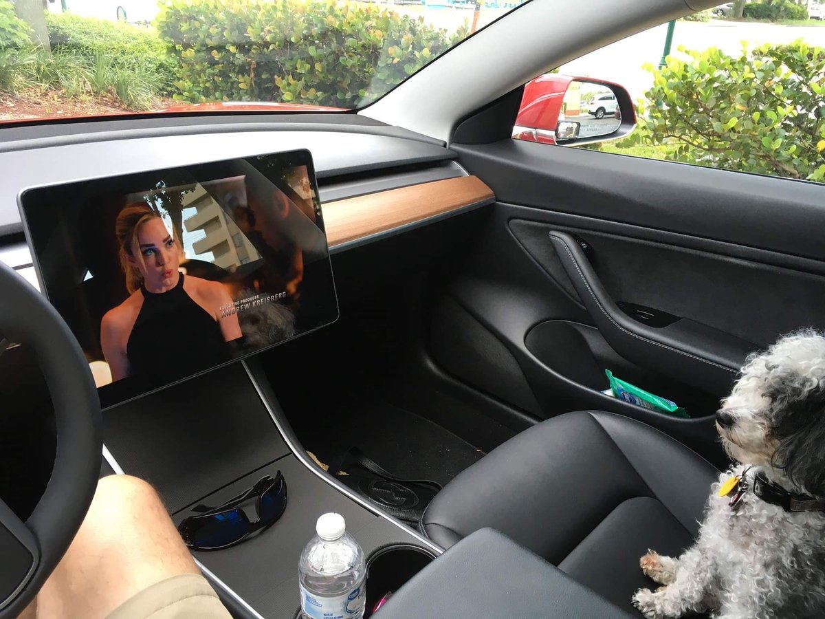 BurkeyTodd's tweet image. Ignore this. Having problems posting picture for some reason. This is just what I call wait for wife mode on the Tesla :)