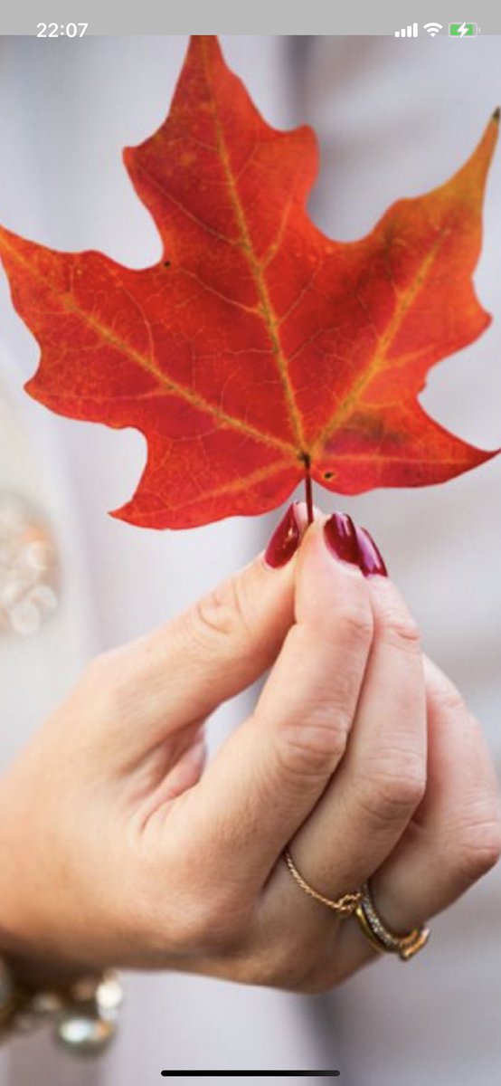 Бүтэн амралтын өдрөө сайхан өнгөрүүлээрэй ☕️🍋🥐🥝🥑🍎🍽🍧🚲🏊‍♀️🏀📺🎈🎊