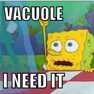 thecelldepot_'s tweet photo. #votecentralvacuole https://t.co/PThZUl2gPY