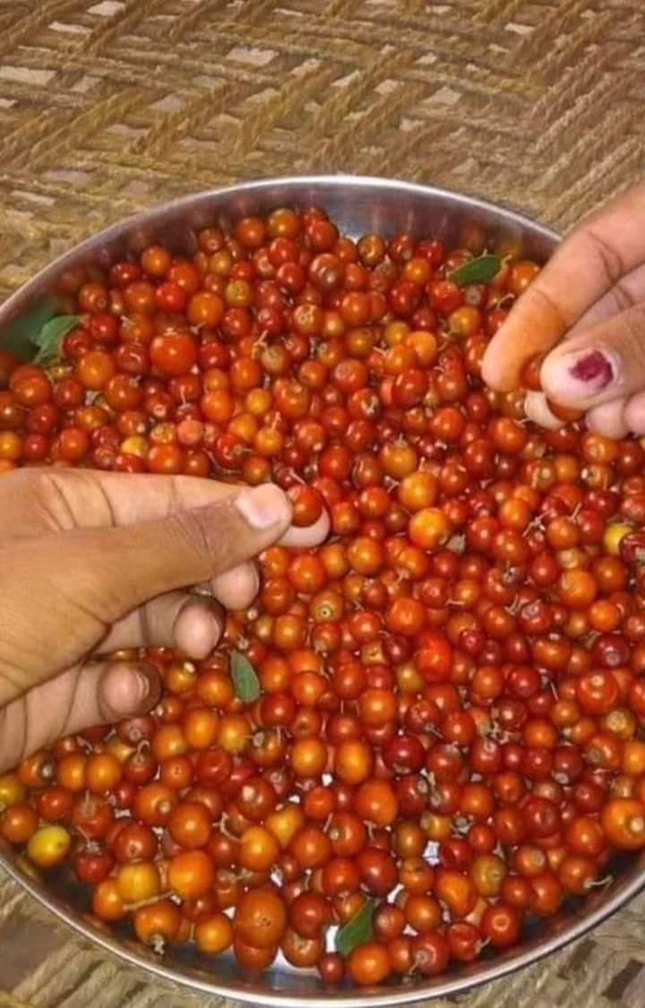 MANRAJM43883649's tweet photo. सही नाम बताओ

प्रमोट किये जाओगे https://t.co/fa8a0yJ1HL