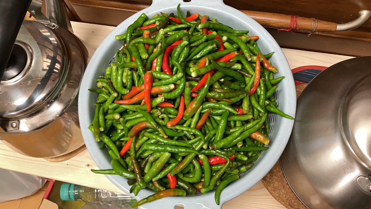 Brian in Fukuoka tweet media