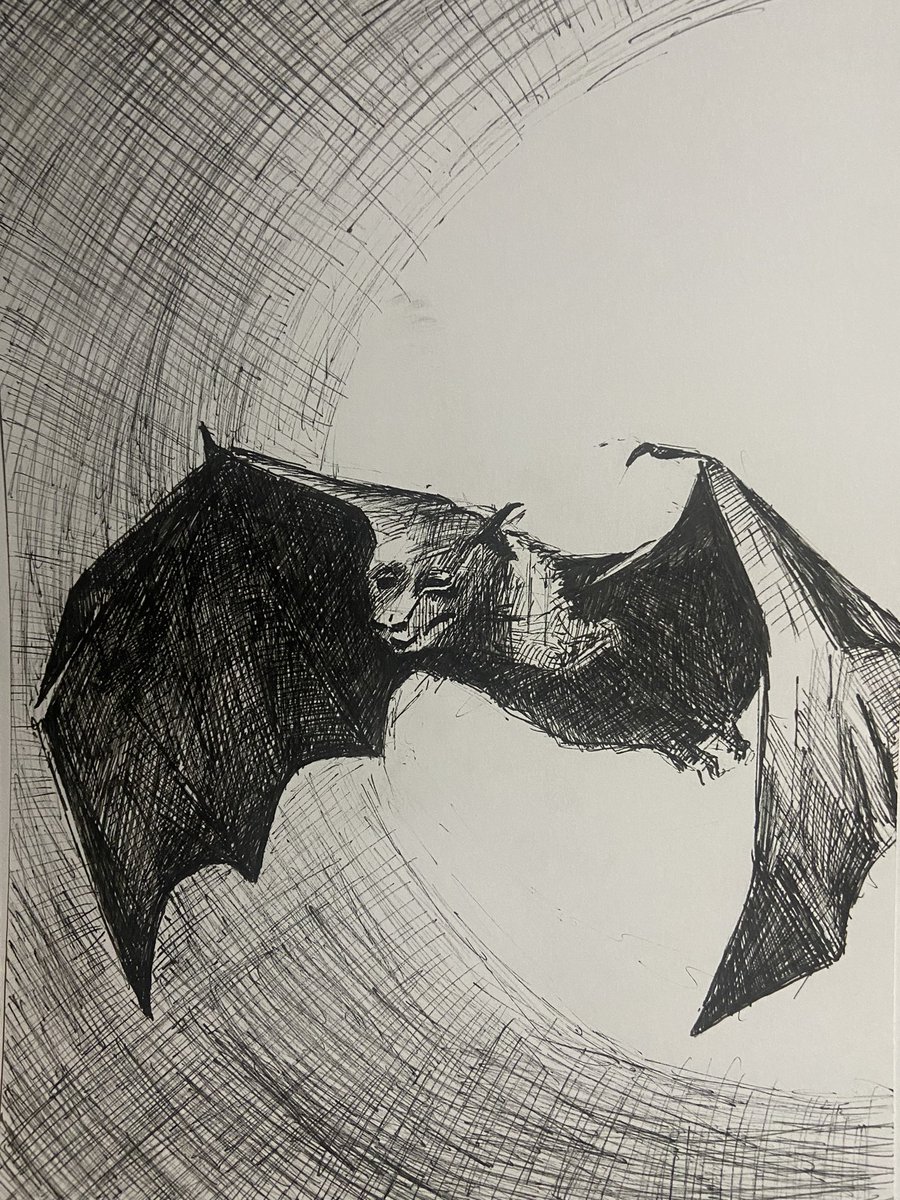 dantipton9's tweet photo. Day 30 inktober FLIGHT #flight #bat #art #halloween #badasstober #artober #inktober2021 #sketch #drawing #artist https://t.co/TMO23A0W0b