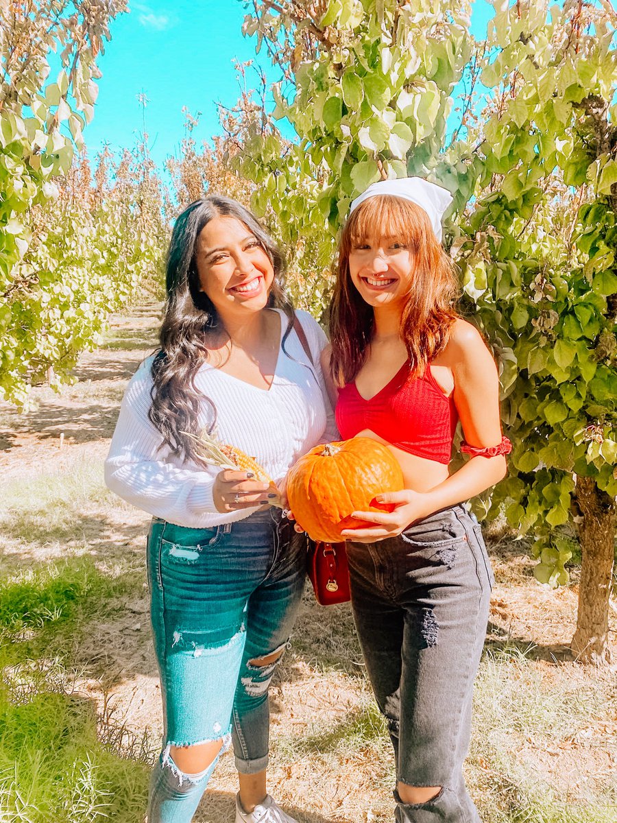 Alpha Delta Pi tweet media