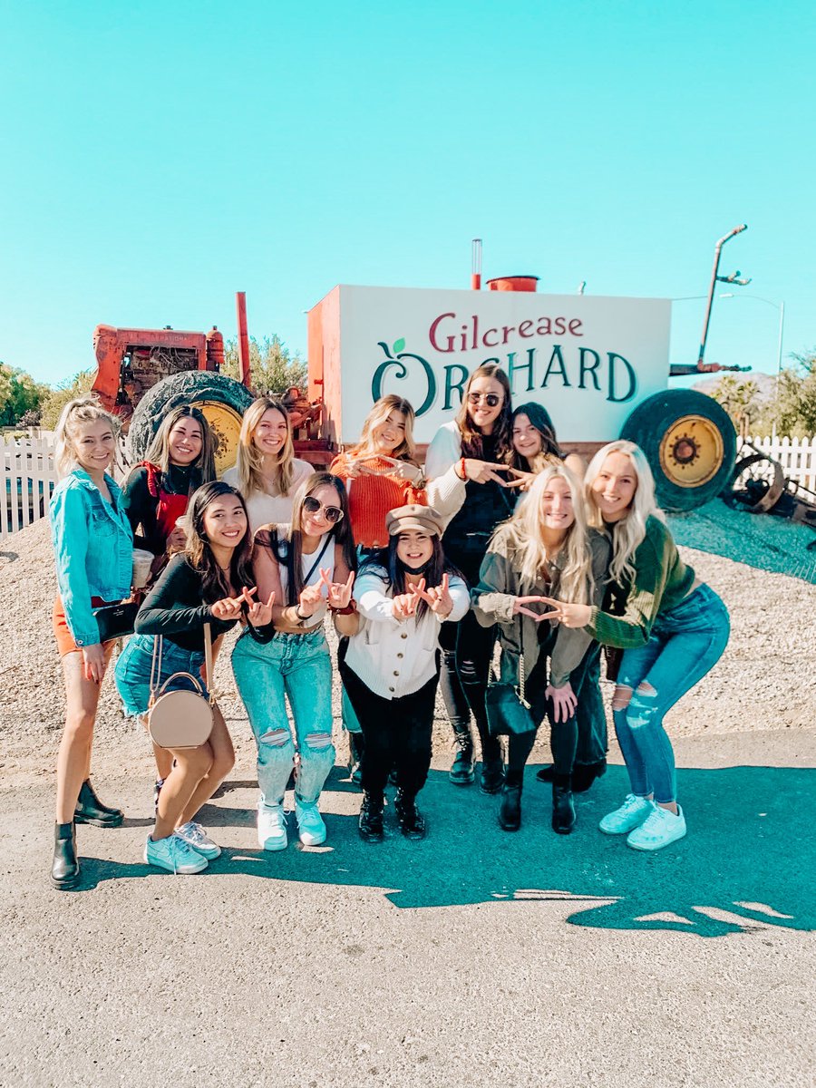 Alpha Delta Pi tweet media