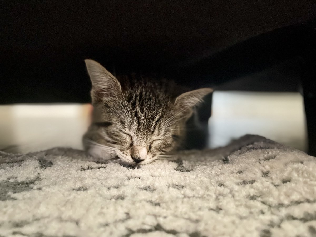 v a l e r i e ☆ tweet media