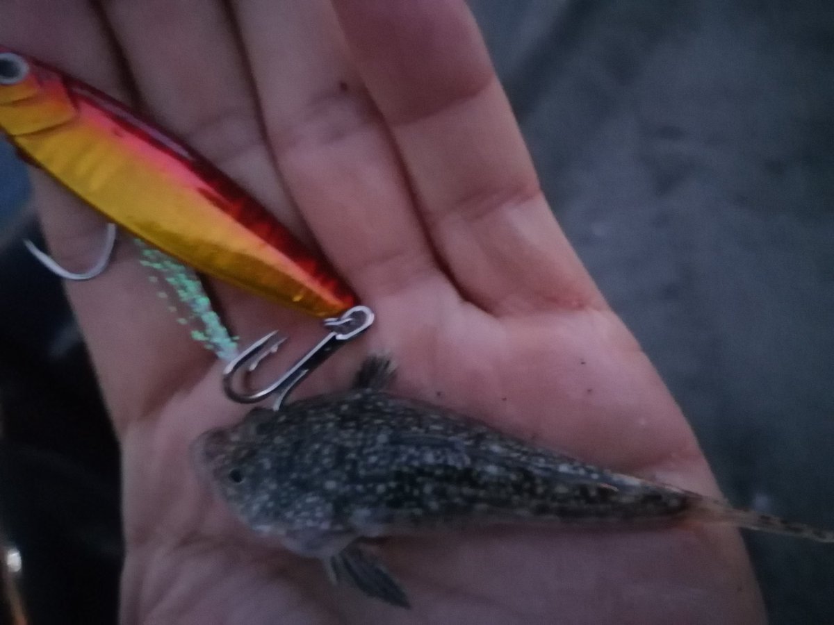 tawake2go's tweet image. #遠州サーフ