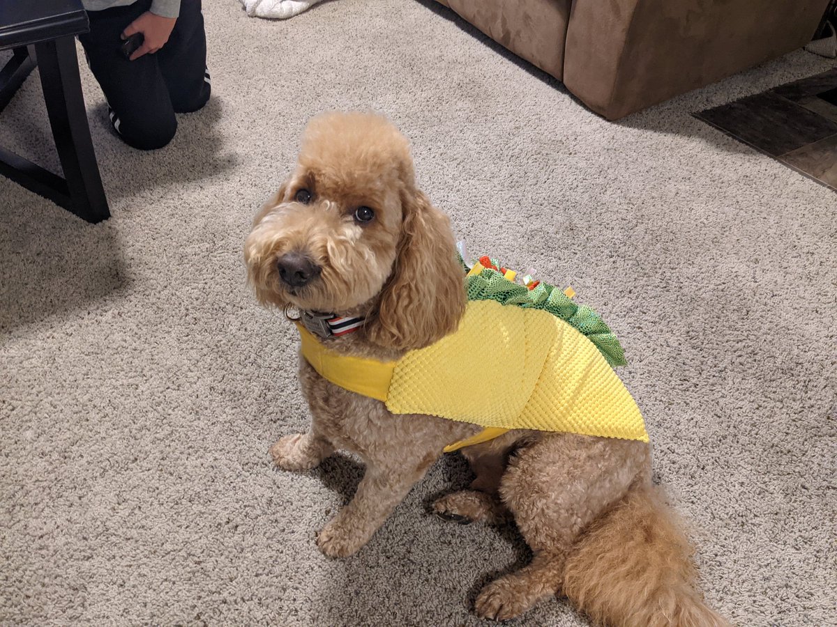 Excel_Geek's tweet image. Taco &apos;bout that 2nd set! #GBR #GoHuskers #B1GBlockParty