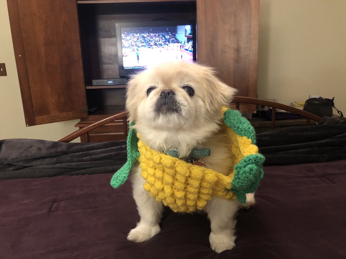 amygoodburn1's tweet photo. Sophie cheering for Huskers in her corncob #GBR #BIGBLOCKPARTY https://t.co/R4BUPyHQdX