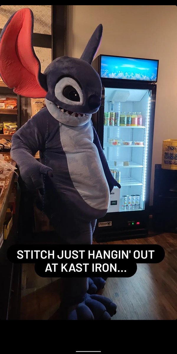 Stitch! 🌴💙 tweet media