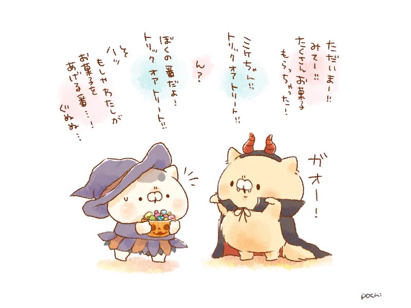 ぽち🐱となりのにゃんこ on X: 