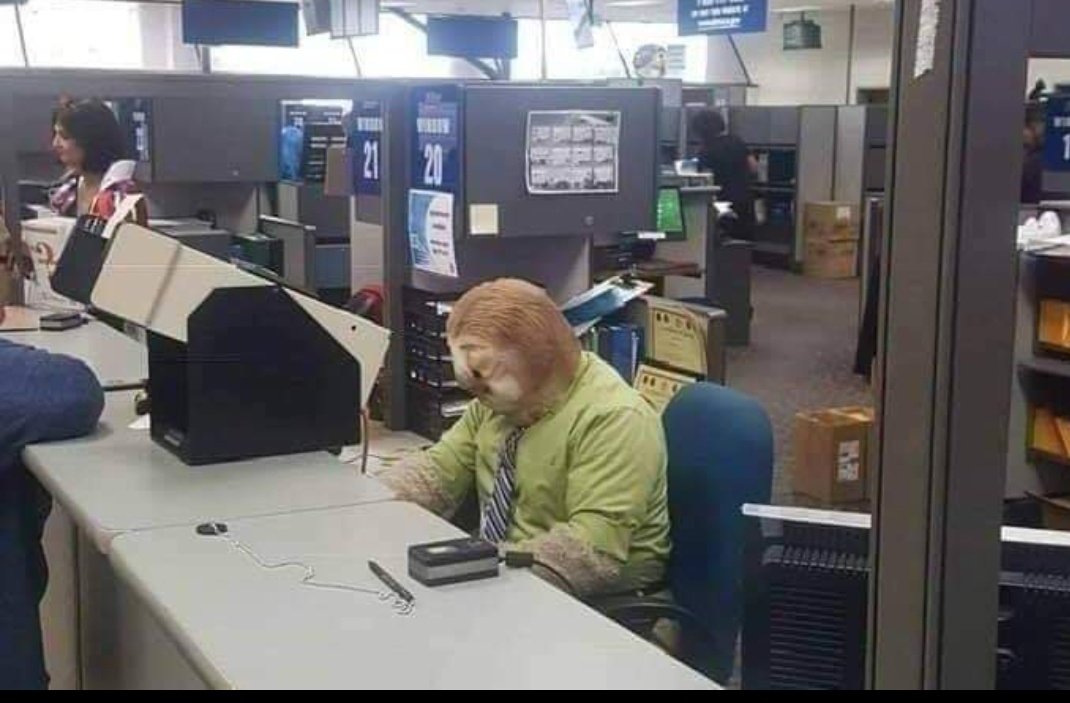 elmeroTenedor's tweet photo. — ¿De qué estás disfrazado?
—  Ingeniero que maneja la página web de la Rama Judicial. https://t.co/AjAkB8v0M8