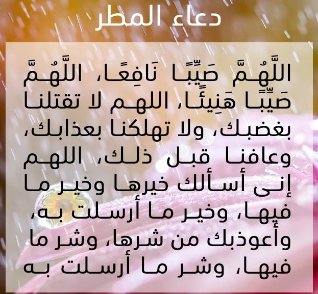 AhmedDa3osh's tweet photo. امين يارب العالمين https://t.co/OARnSi78DV