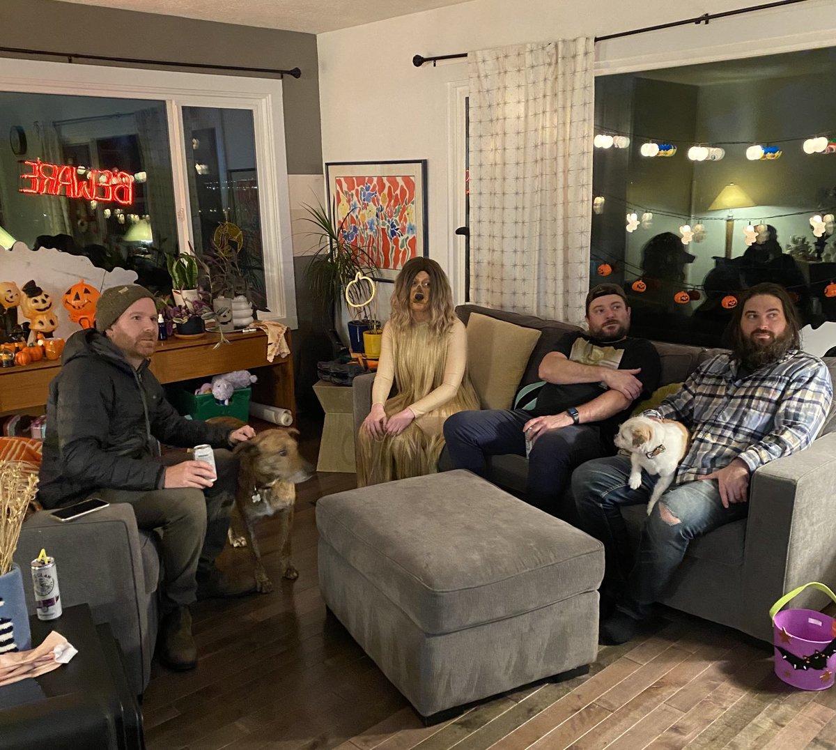hello__caitlin's tweet photo. tbt to the Halloween I dressed as an Afghan hound but my friends house had more of a grownups watching baseball vibe https://t.co/gvxWTr0P8k