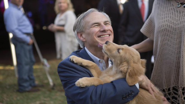 thehill's tweet image. Texas Gov. Abbott signs bill regulating leaving dogs tied up outside hill.cm/3R8l1vb