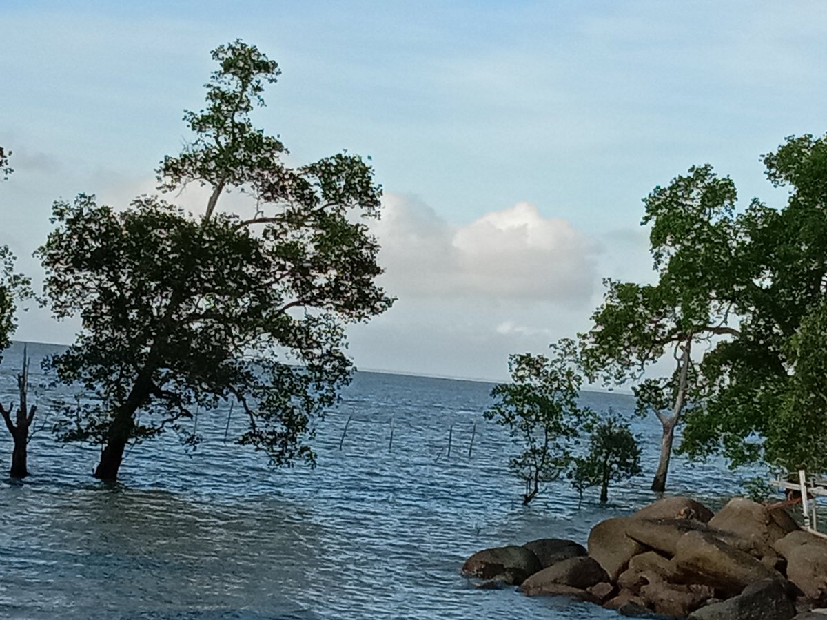 Birunya air laut..sebiru rinduku padamu
😁

Terus mana warna birumu ?