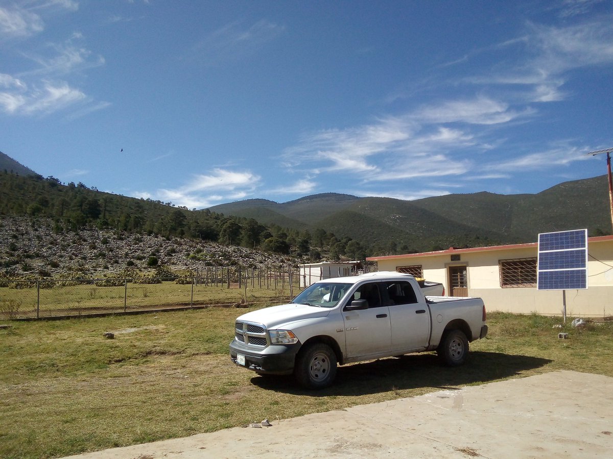 Sierra Madre Oriental, Sierra El Borrado, Peña Nevada, Miquihuana, Tamaulipas. Aves, reptiles, bosques, cactáceas, etc!!