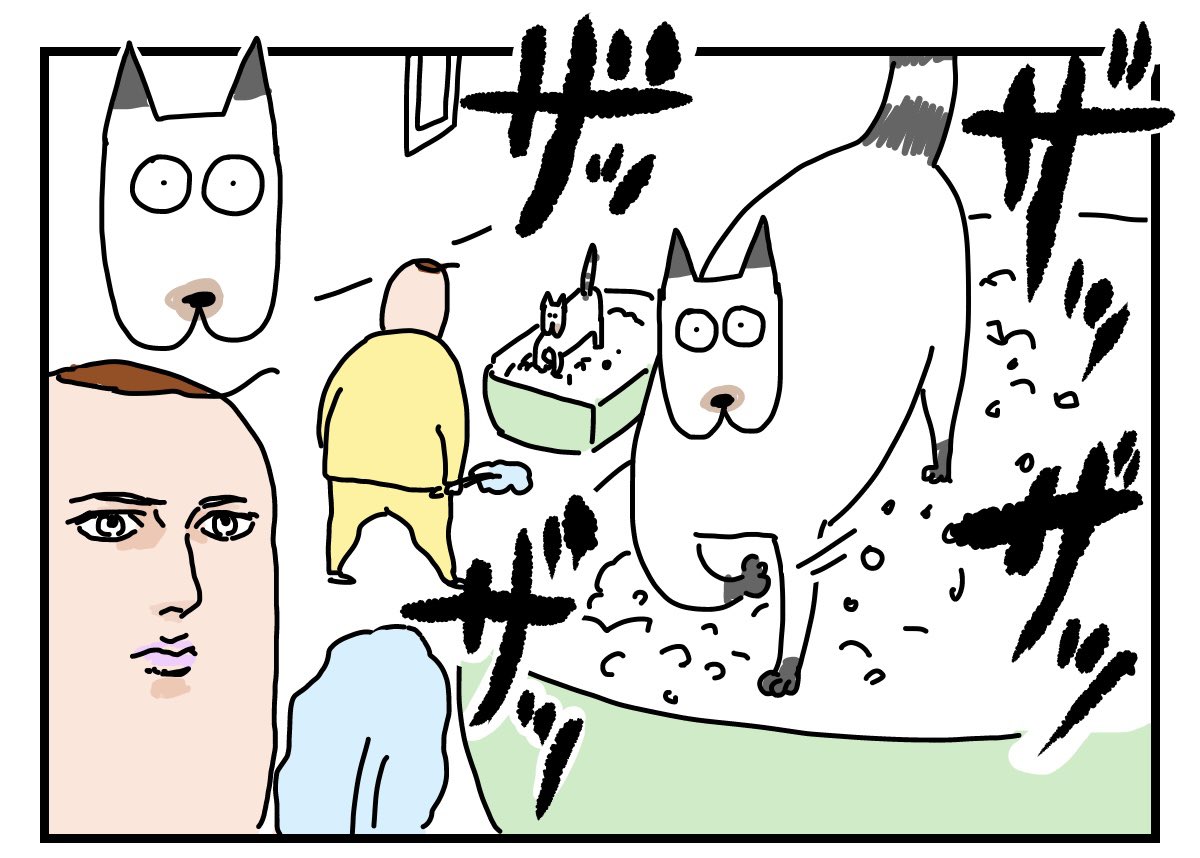 ザッザッザッザッ
https://t.co/Ud4NUWipxC 