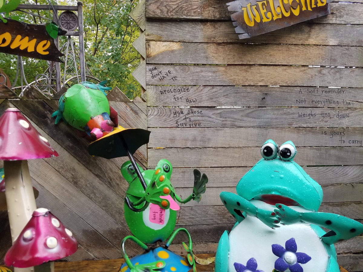amylk03's tweet photo. Thought of @DominiqueP_C when I was here today at the garden junkie on Marion,  KY https://t.co/mJ8g7vm8Q8