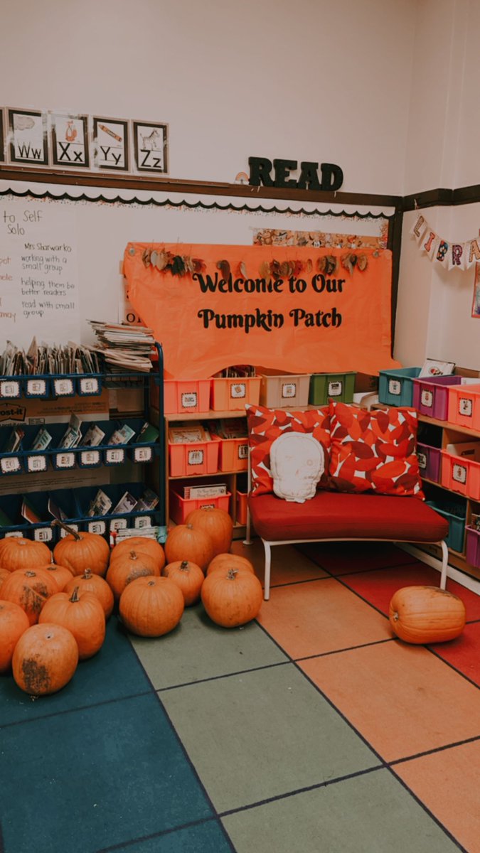 I turned my classroom into a pumpkin patch ♥️🎃 #cps #ctu #chicago #iteachfirst #firstgrade @CTULocal1 @ChiPubSchools