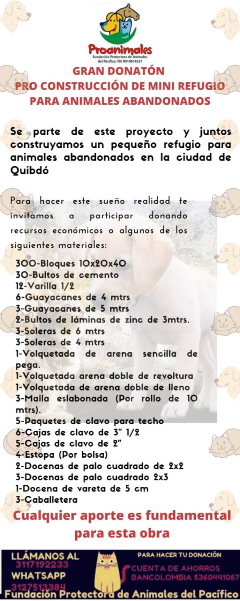 FProanimales's tweet photo. Ayúdanos a ayudar nuestros animalitos. https://t.co/mLnebAPKHX