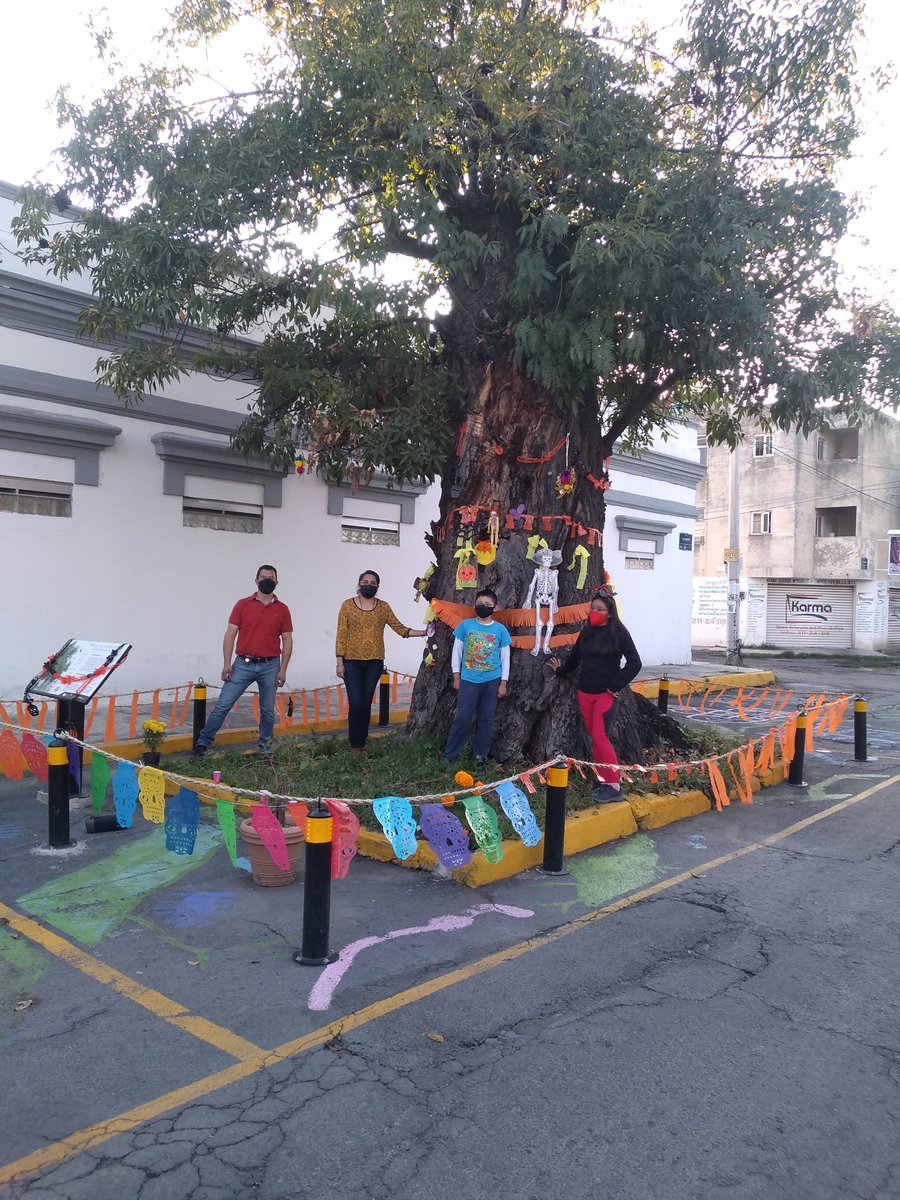 PorVolcanes's tweet photo. Rodada por los árboles, #FresnoEstomatologia en modo día de muertos. @Biciopolis1 @arboles_puebla 
Gracias vecinos por seguir pendiente de este peculiar vecino verde. https://t.co/CSW2CVWKFv