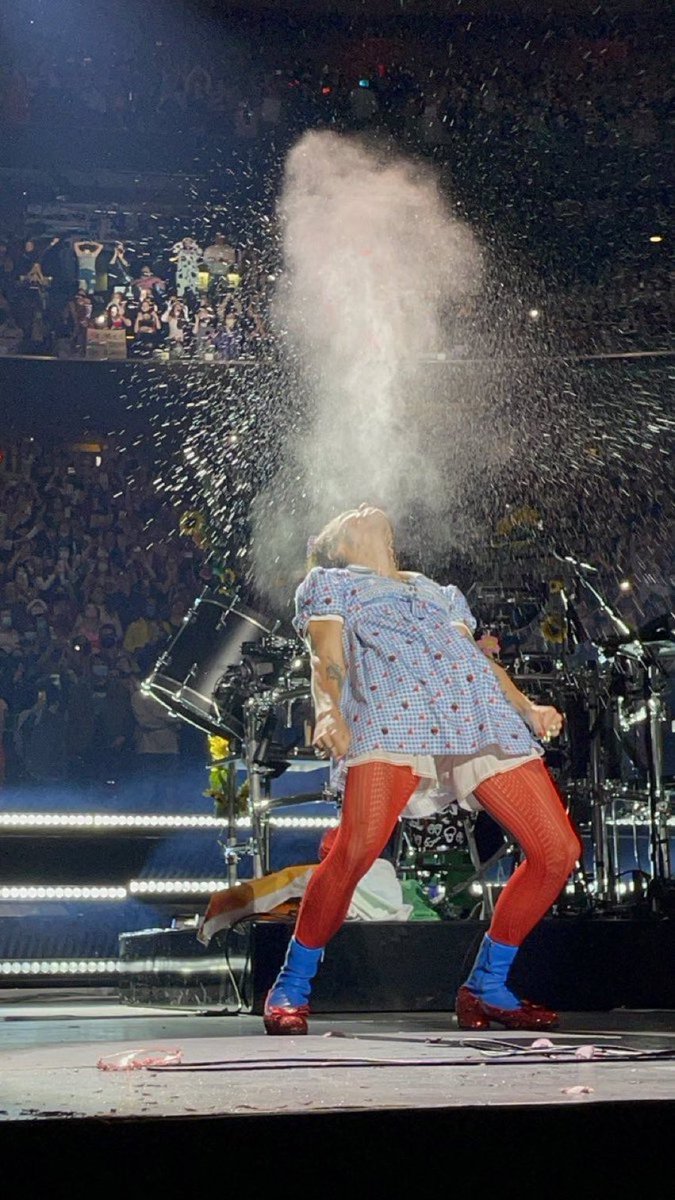 toto this toto that my toto is wet