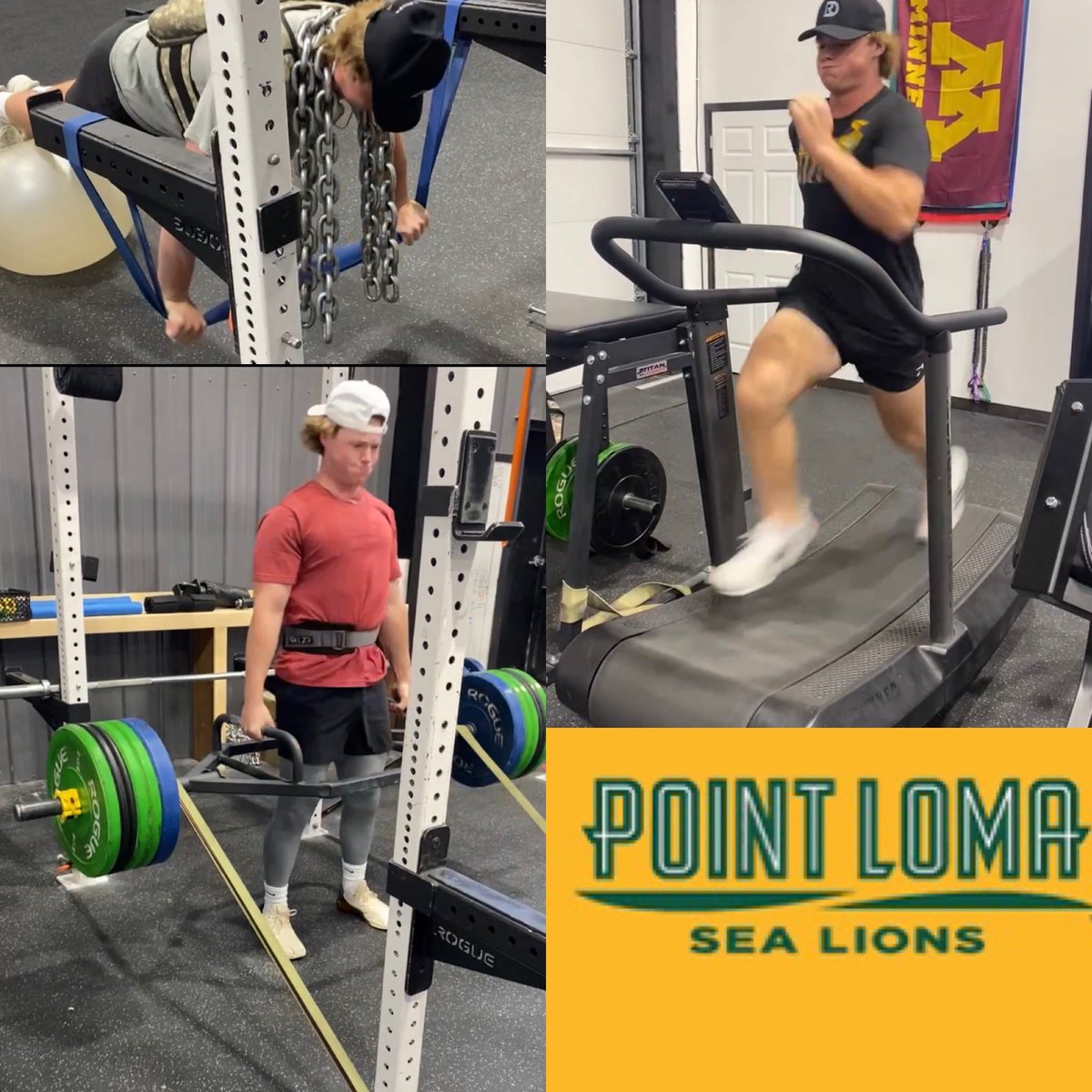 The Factory tweet media