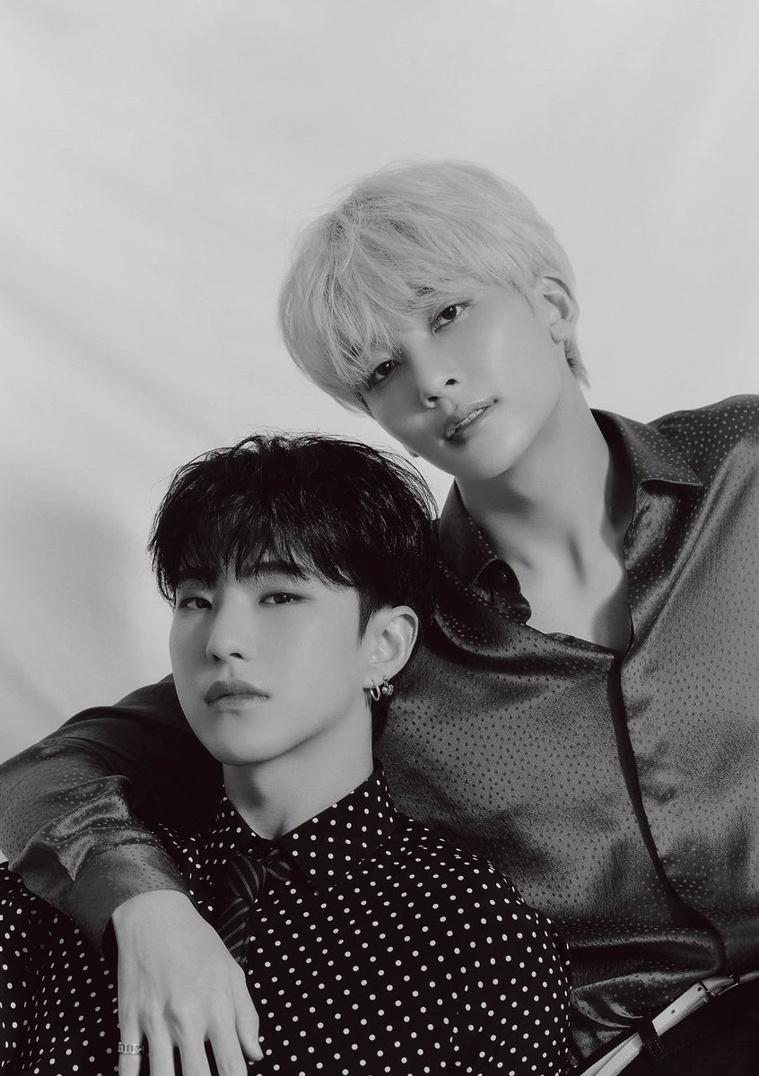 폴라 tweet media