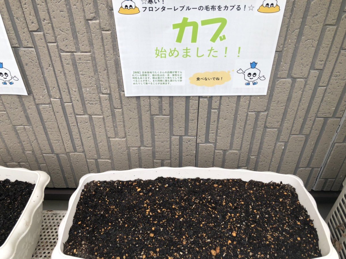そら豆 Lang Ja Twitter Search