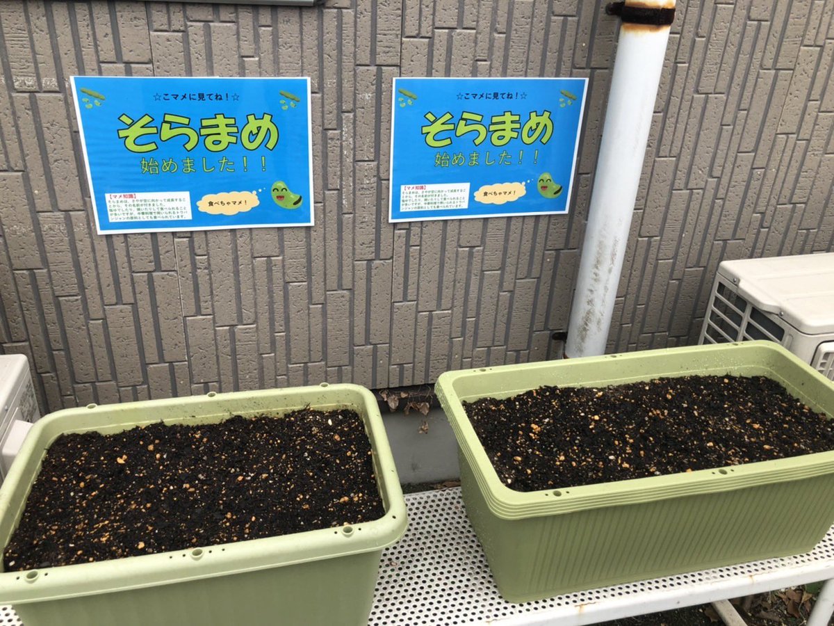 そら豆 Lang Ja Twitter Search