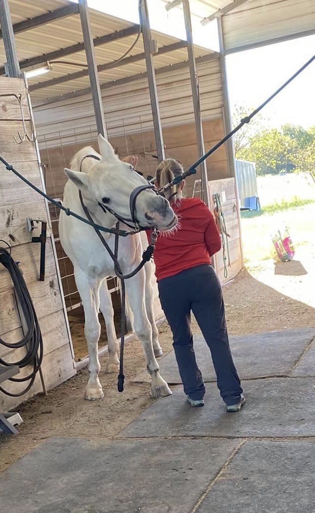 deanneshead's tweet photo. #ILoveMyJob Do what you love, and you’ll never work a day in your life. 🥰#equinemassagetherapy #esmtofsanantonio #massagemakesourhorsehappy https://t.co/ZQ4BoaxrDy