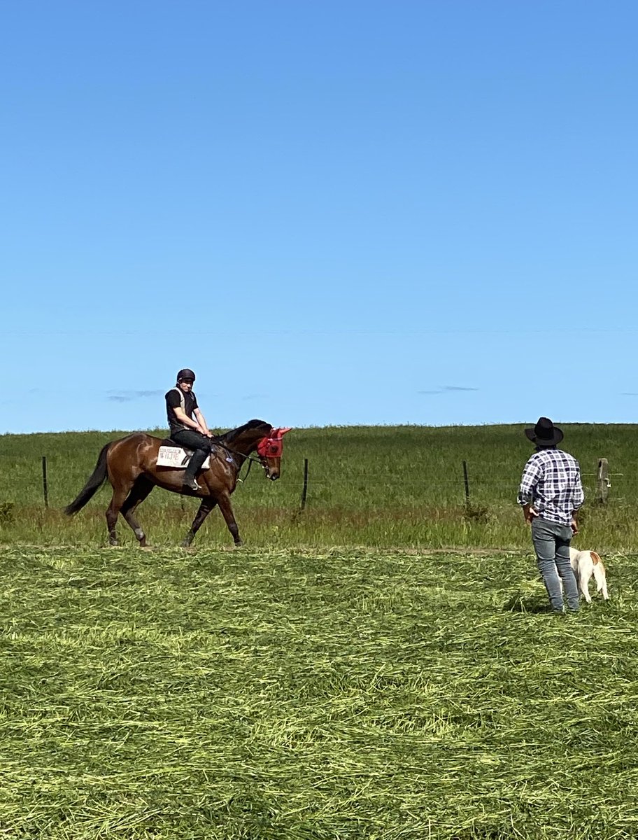 The boss keeping a close eye on Tralee Rose stretching her legs this morning.