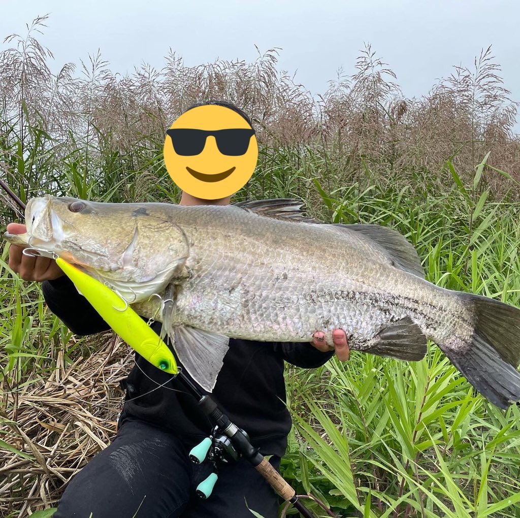 KfihsingKAIGYO's tweet photo. 高知遠征

初アカメは着いてすぐ一投目でヒット
バイト音、パワー、見た目全てが最高

ヒュージペンシルのサイトでした💥
#アカメ #ヒュージペンシル #deps 
#釣り #フィッシング #怪魚 #tulalajp https://t.co/UQKjpn9BX4