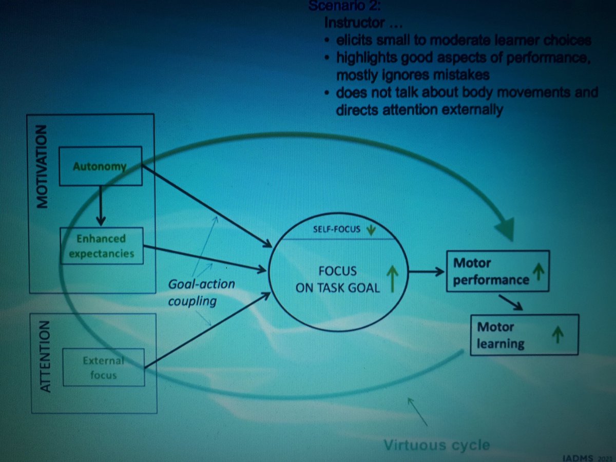 IrinaRoncaglia's tweet photo. #IADMS2021 #externalfocus #internalfocus #attention #goalaction_coupling Dr Wulf &amp; Dr Lewthwaite #education #performing #arts #rehabilitation #transdisciplinary https://t.co/WaaiiaSQfO