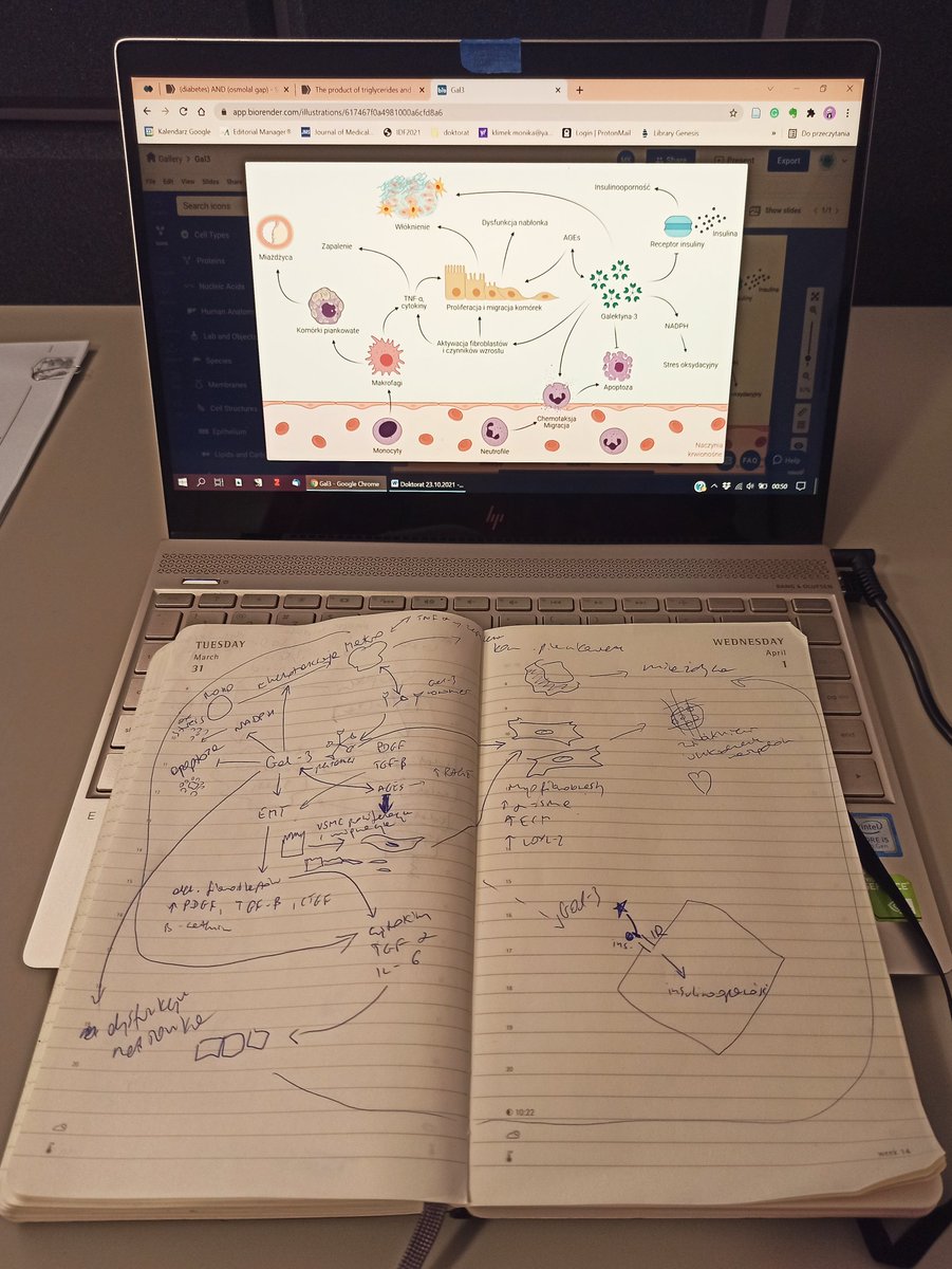 klimkowa1's tweet image. Before and after with @BioRender  #PhDinprogress #phdlife 🤓