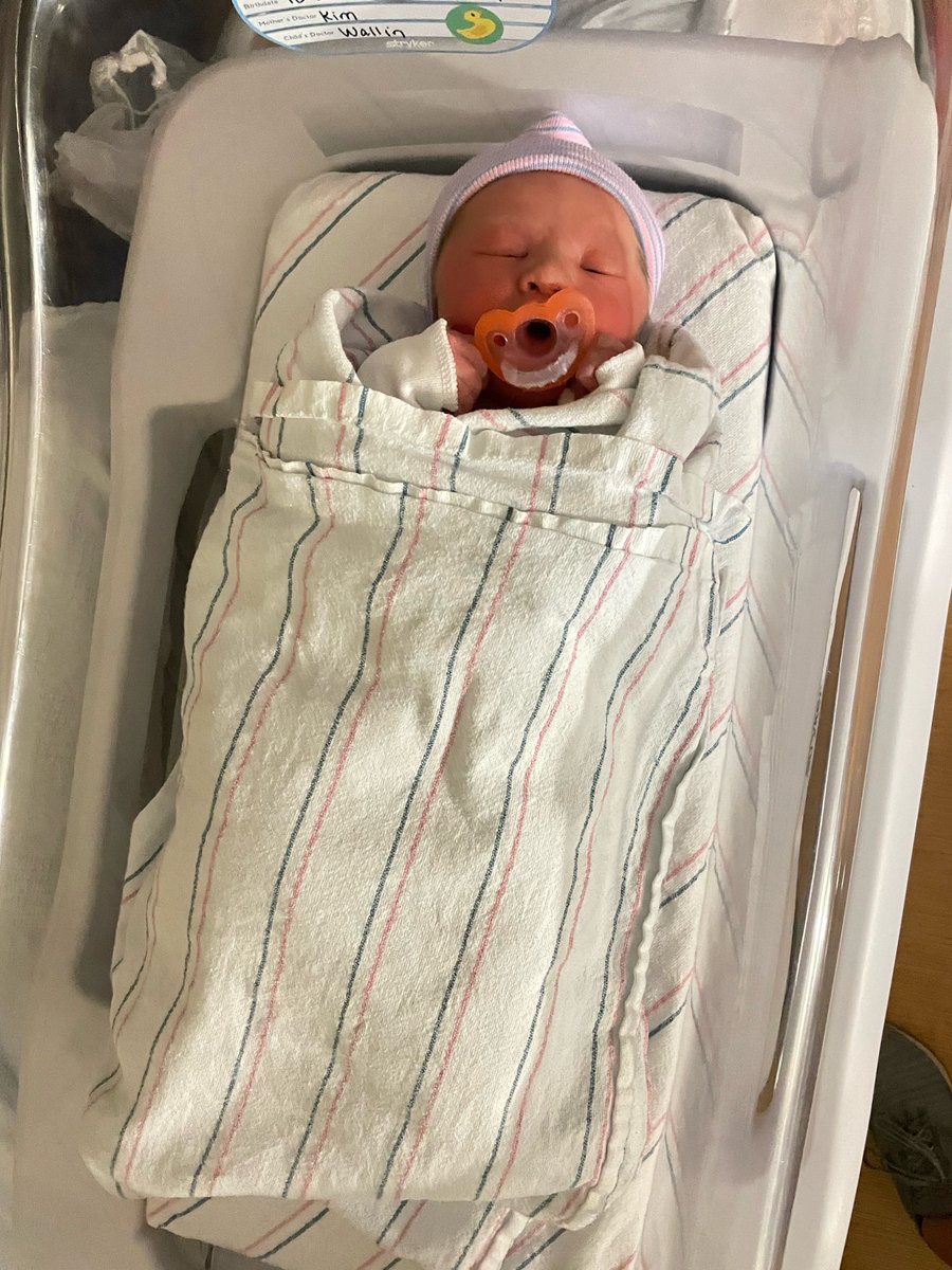 🍩 Donut Girl 🍩 tweet media